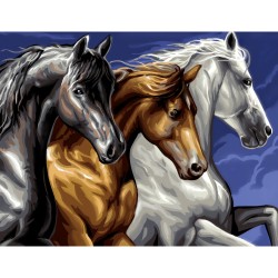 Peinture par numéro 30x40cm - Cavalcade