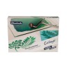 Set encres linogravure Collège 5x 75ml