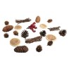 Mélange naturel avec cônes ø2-6cm x20 pcs