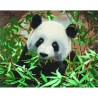 Kit tableau à diamanter Crystal Art 40x50cm - Panda