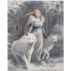 Kit tableau à diamanter Crystal Art 40x50cm - Fantasy loup