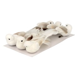 Set oiseaux sur pince x6pcs - Oiseaux blancs