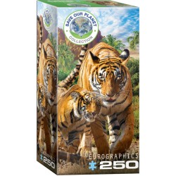 Puzzle 250 pièces -  Tigres