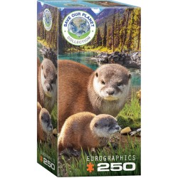Puzzle 250 pièces -  Loutres
