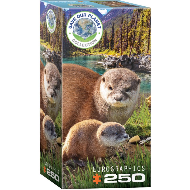 Puzzle 250 pièces -  Loutres
