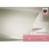 Papier aquarelle 100% coton Expression 300g/m² en feuille