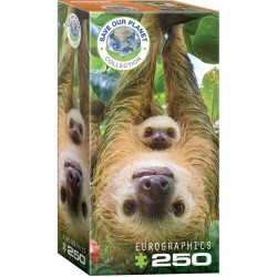 Puzzle 250 pièces -  Paresseux