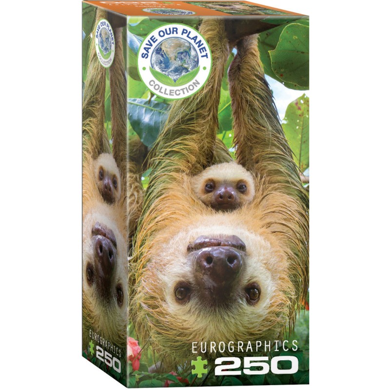 Puzzle 250 pièces -  Paresseux