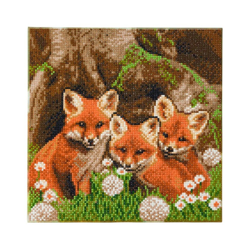 Kit tableau à diamanter Crystal Art 30x30cm - Renardeaux
