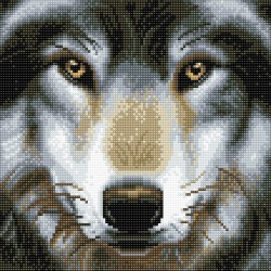 Kit tableau à diamanter Crystal Art 30x30cm - Loup