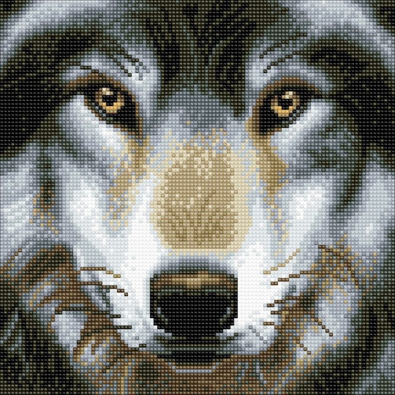 Kit tableau à diamanter Crystal Art 30x30cm - Loup