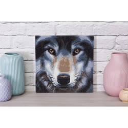 Kit tableau à diamanter Crystal Art 30x30cm - Loup