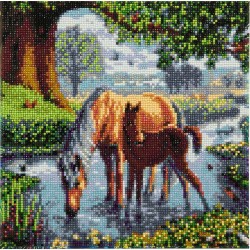 Kit tableau à diamanter Crystal Art 30x30cm - Chevaux