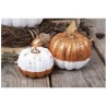 Lot de 3 courges en polystyrène assorties