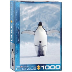 Puzzle 1000 pièces - Manchot et son petit
