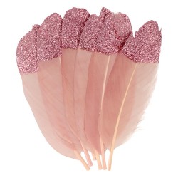 Plumes paillettes x6 - Isatis