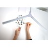 Lampe de table DUO Daylight