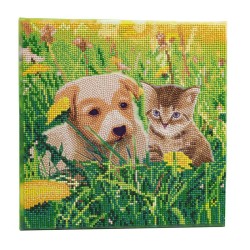 Kit tableau à diamanter Crystal Art 30x30cm - Chat et chien pré
