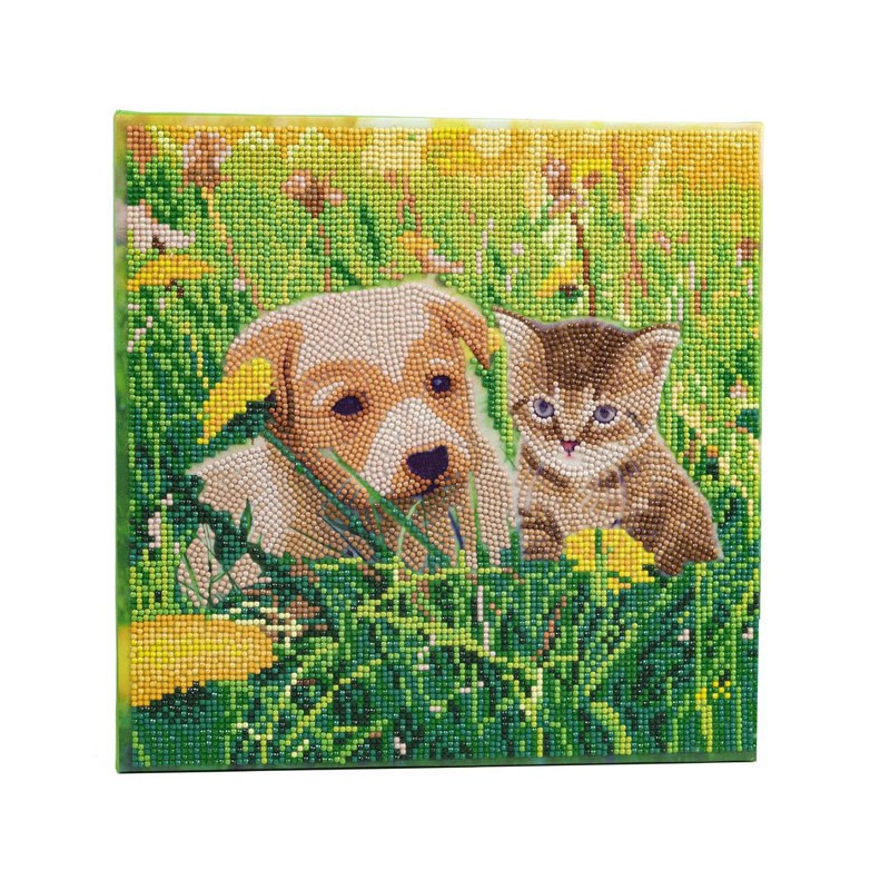 Kit tableau à diamanter Crystal Art 30x30cm - Chat et chien pré