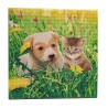 Kit tableau à diamanter Crystal Art 30x30cm - Chat et chien pré