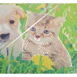 Kit tableau à diamanter Crystal Art 30x30cm - Chat et chien pré
