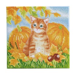 Kit tableau à diamanter Crystal Art 30x30cm - Chat d'automne