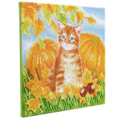 Kit tableau à diamanter Crystal Art 30x30cm - Chat d'automne