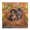 Kit tableau à diamanter Crystal Art 30x30cm - Chiot et chaton dans un panier