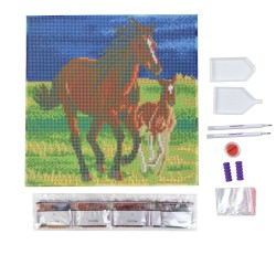 Kit tableau à diamanter Crystal Art 30x30cm - Premiers galops