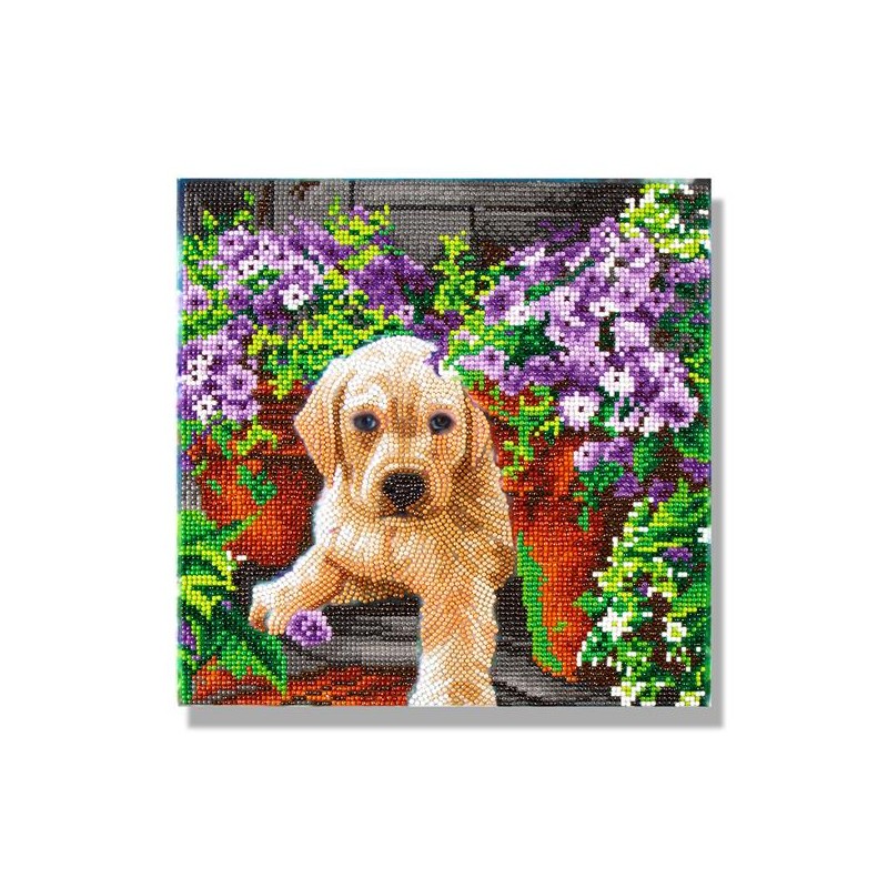 Kit tableau à diamanter Crystal Art 30x30cm - Chien et fleurs