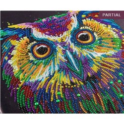 Kit tableau à diamanter Crystal Art 30x30cm - Hibou multicolore