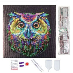 Kit tableau à diamanter Crystal Art 30x30cm - Hibou multicolore
