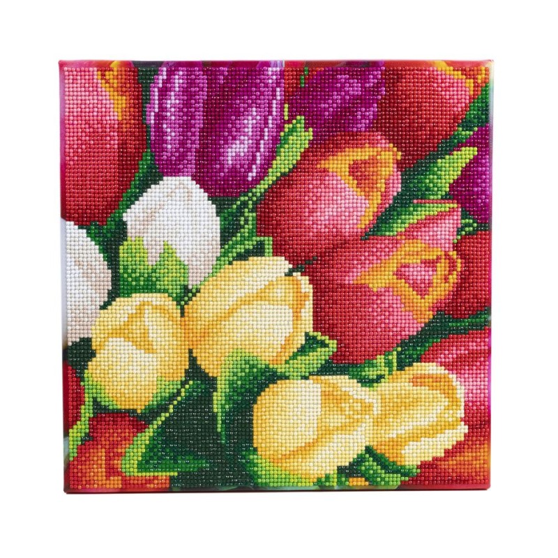 Kit tableau à diamanter Crystal Art 30x30cm - Tulipes