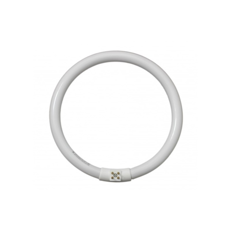 Tube circulaire Daylight 22W