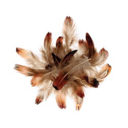 Plumes faisan 3 à 5 cm, sachet de 3 g