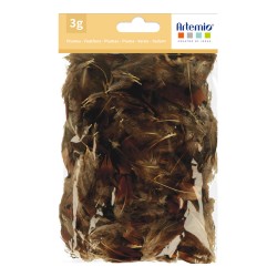 Plumes faisan 3 à 5 cm, sachet de 3 g