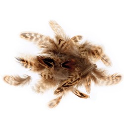 Plumes tigrées 3 à 6 cm, sachet de 3 g