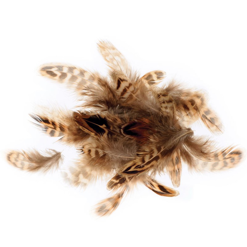 Plumes tigrées 3 à 6 cm, sachet de 3 g