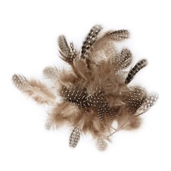 Plumes pintade 3 à 6 cm, sachet de 3 g