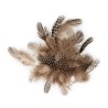 Plumes pintade 3 à 6 cm, sachet de 3 g