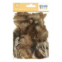 Plumes pintade 3 à 6 cm, sachet de 3 g