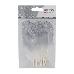 Plumes décorées avec paillettes x6pcs