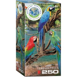 Puzzle 250 pièces - Aras