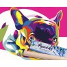 Peinture par numéros sur chassis 40x50cm - Carlin Pop Art