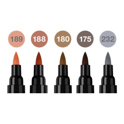 Set thématique de 5 marqueurs Pitt Artist Pen Dual Marker