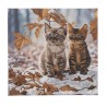 Kit tableau à diamanter Crystal Art 30x30cm - Duo de chatons en hiver