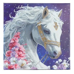 Kit tableau à diamanter Crystal Art 30x30cm - Beauté mystique