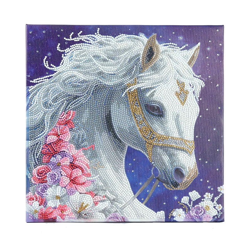 Kit tableau à diamanter Crystal Art 30x30cm - Beauté mystique
