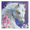 Kit tableau à diamanter Crystal Art 30x30cm - Beauté mystique