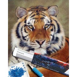 Broderie diamant 40x50cm sur toile roulée - Regard de tigre